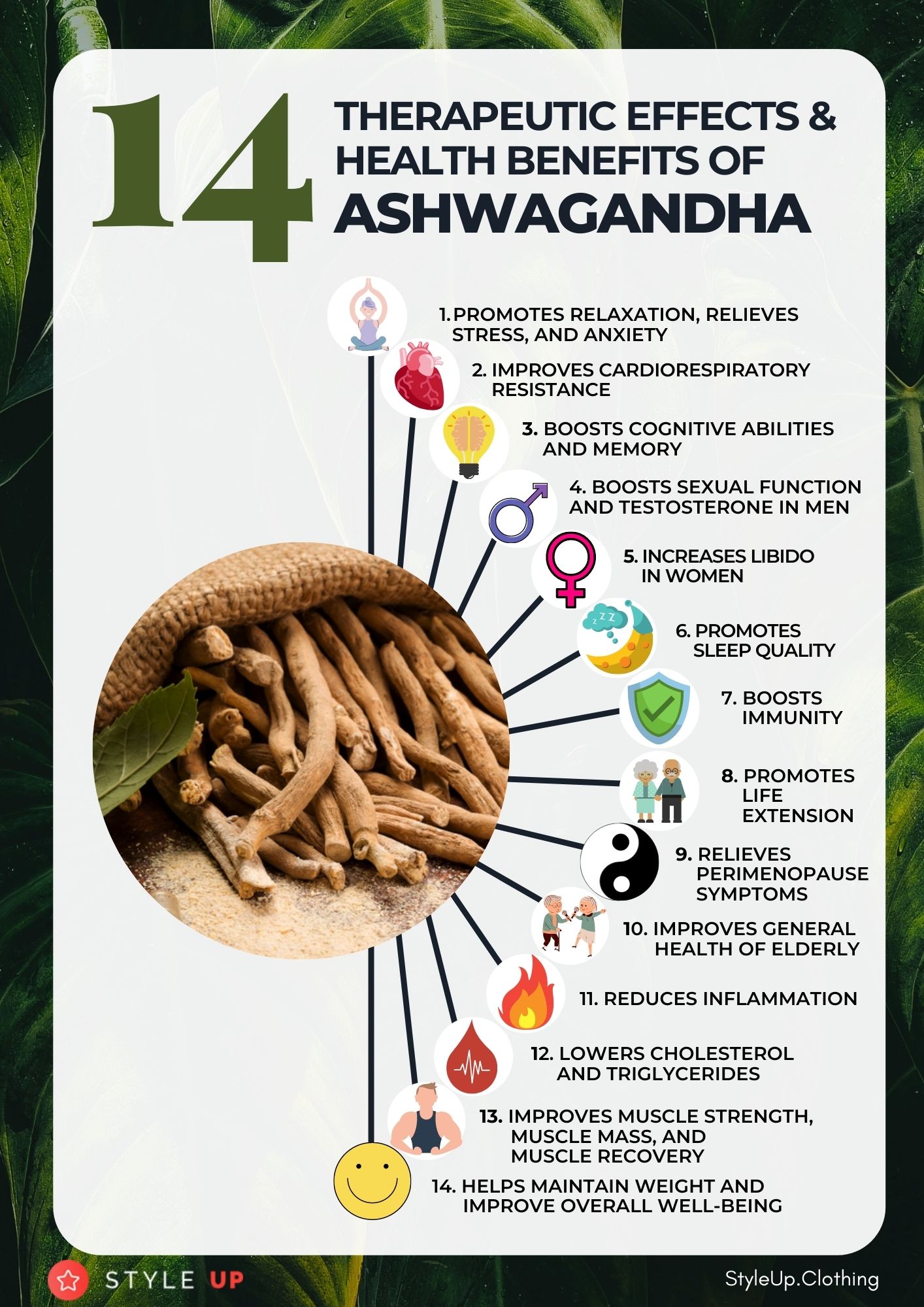 Ashwagandha Health Benefits Based On Science, Ashwagandha For Stress, Anxiety, Depression, Libido, Life Longevity, Immune System, And Cardiovascular System